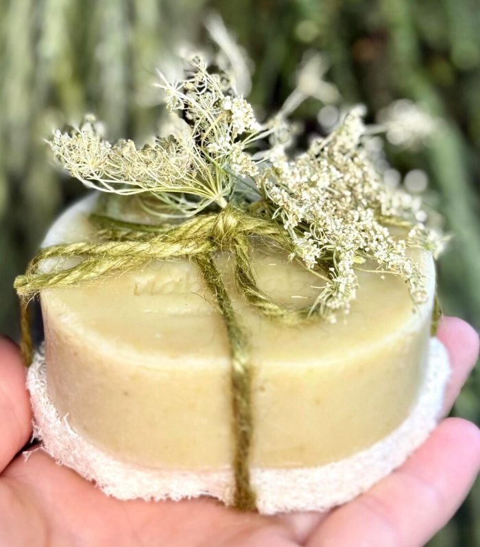 Olive Oil Soap Green Forest
